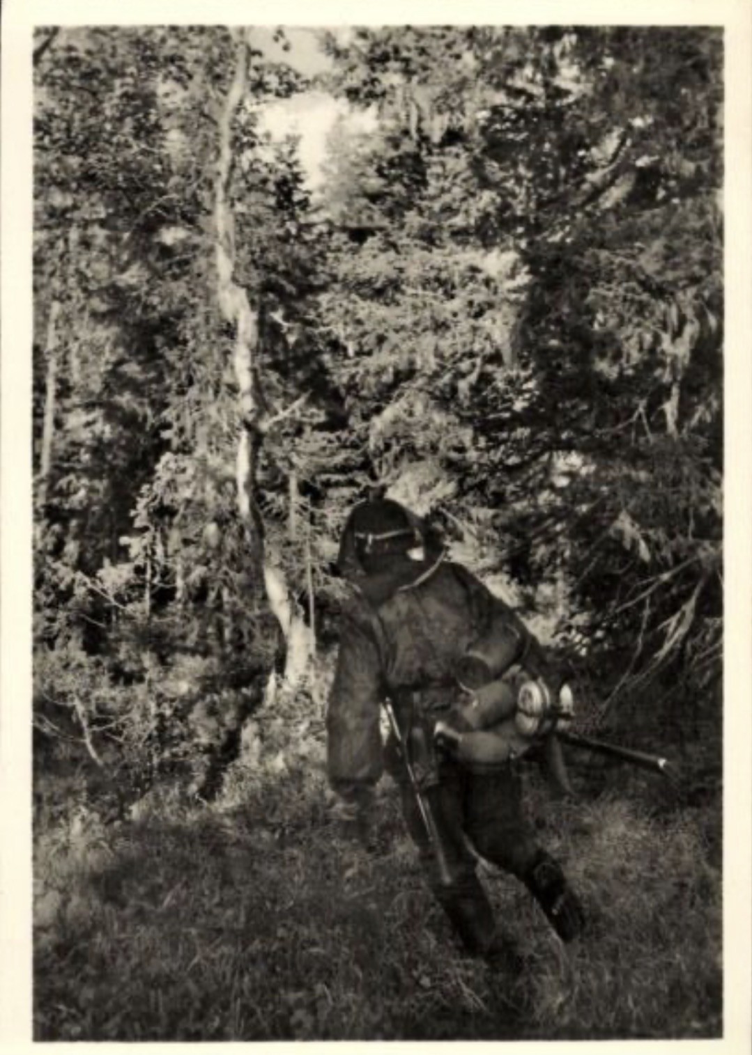 Mint Germany WW2 RPPC Postcard Waffen SS Nord Division “Angriff im Urwald”