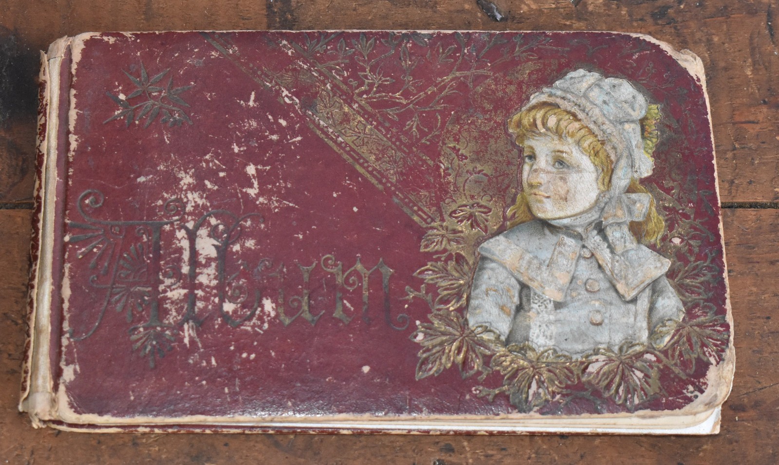 Antique 1880s Victorian Autograph Album Mary Lay Dubuque IA Folk Art Antique 1880s Victorian Autograph Album Mary Lay Dubuque IA Folk Art