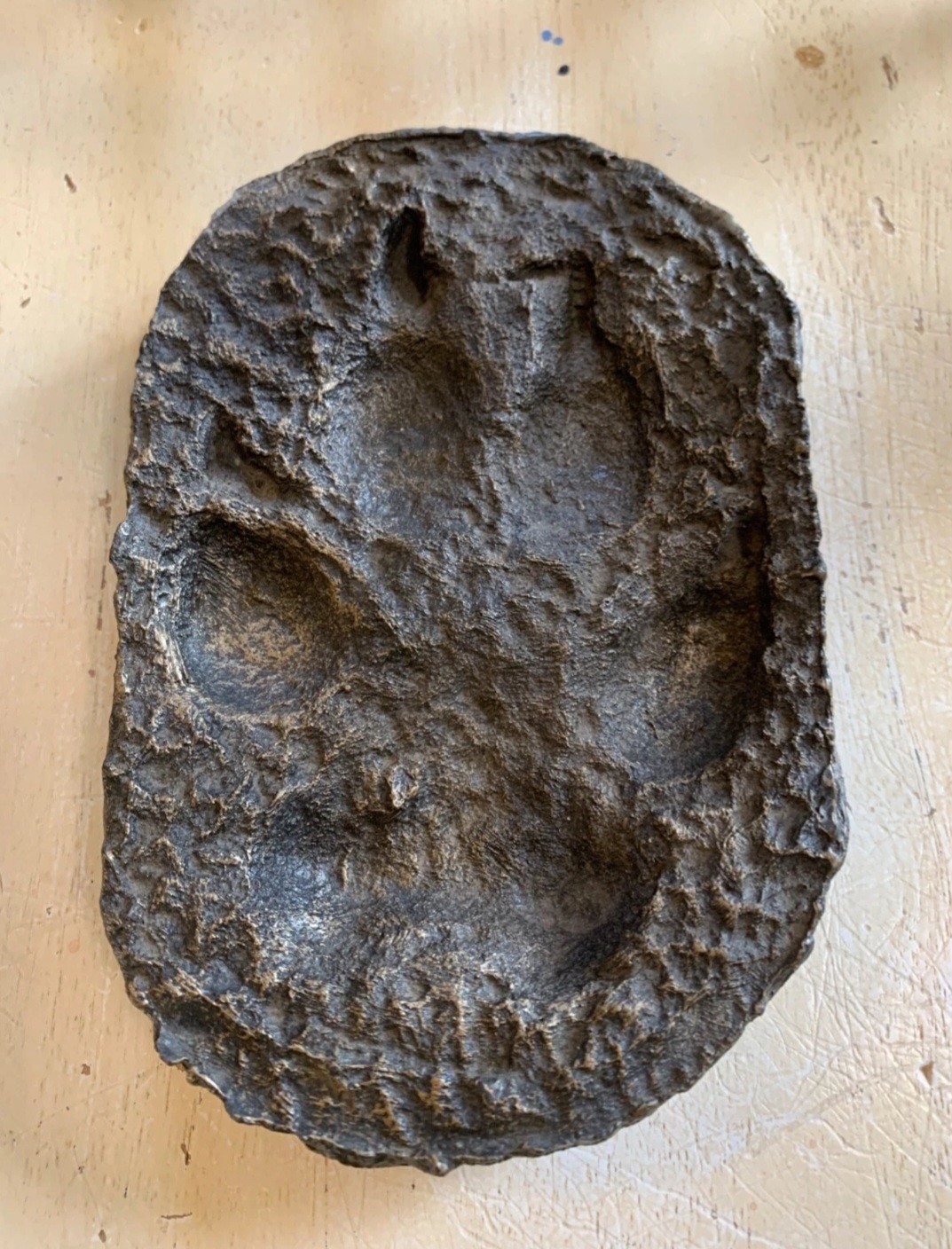 Wolf Tracks Footprint Plaster Cast Replica 21M Yellowstone National Park Wolf Tracks Footprint Plaster Cast Replica 21M Yellowstone National Park