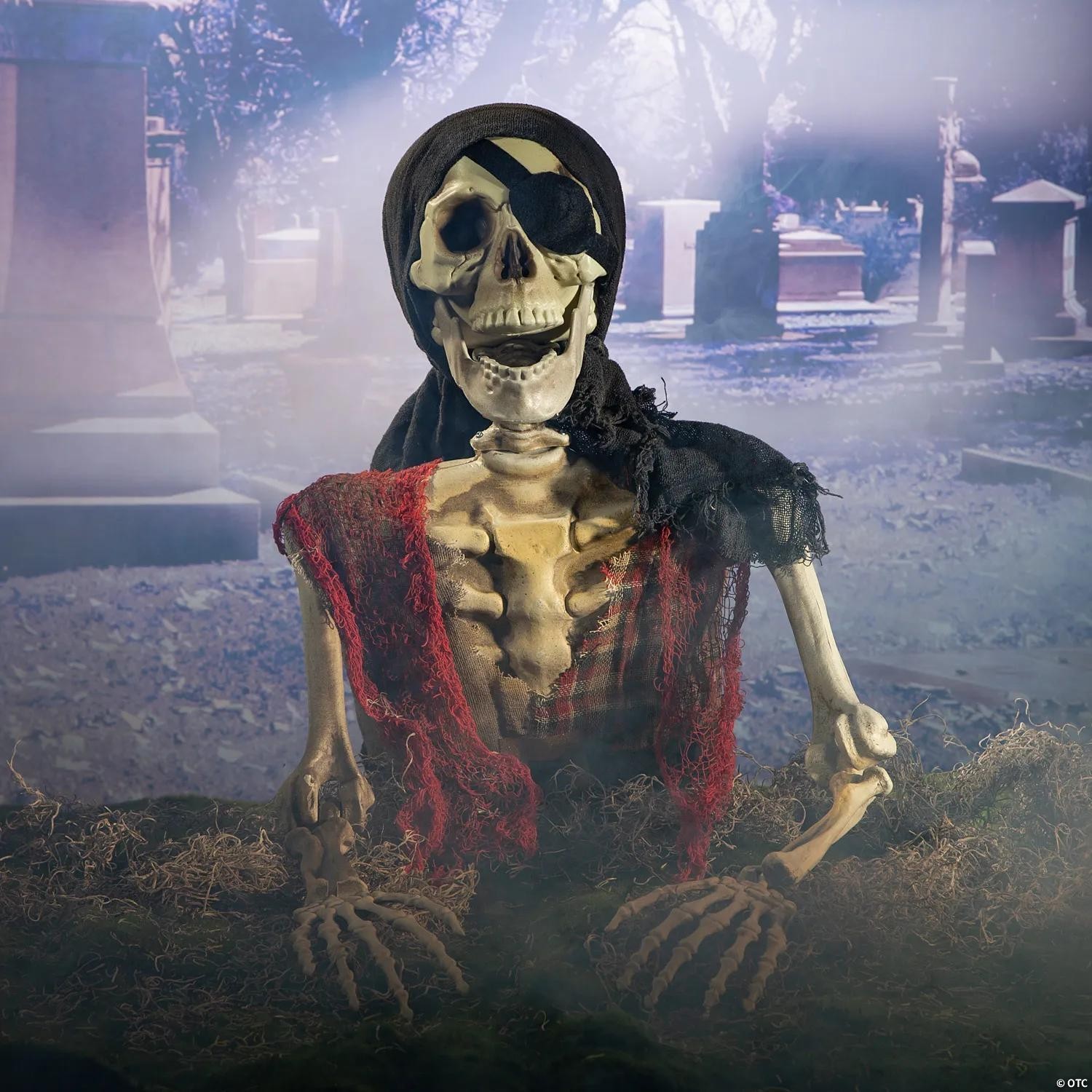 Skeleton Pirate Halloween Prop, 18