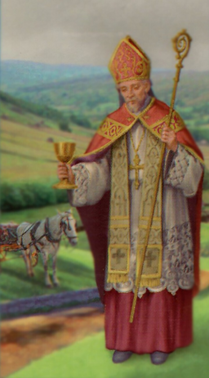 St. Richard A - Laminated Holy 25 CARDS