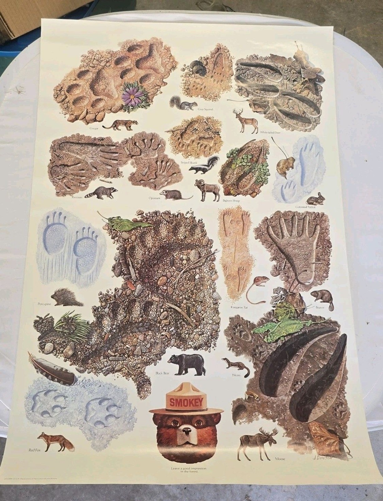 1984 Smokey the Bear leave a good impression animal Tracks Poster USDA 20“ x 30“