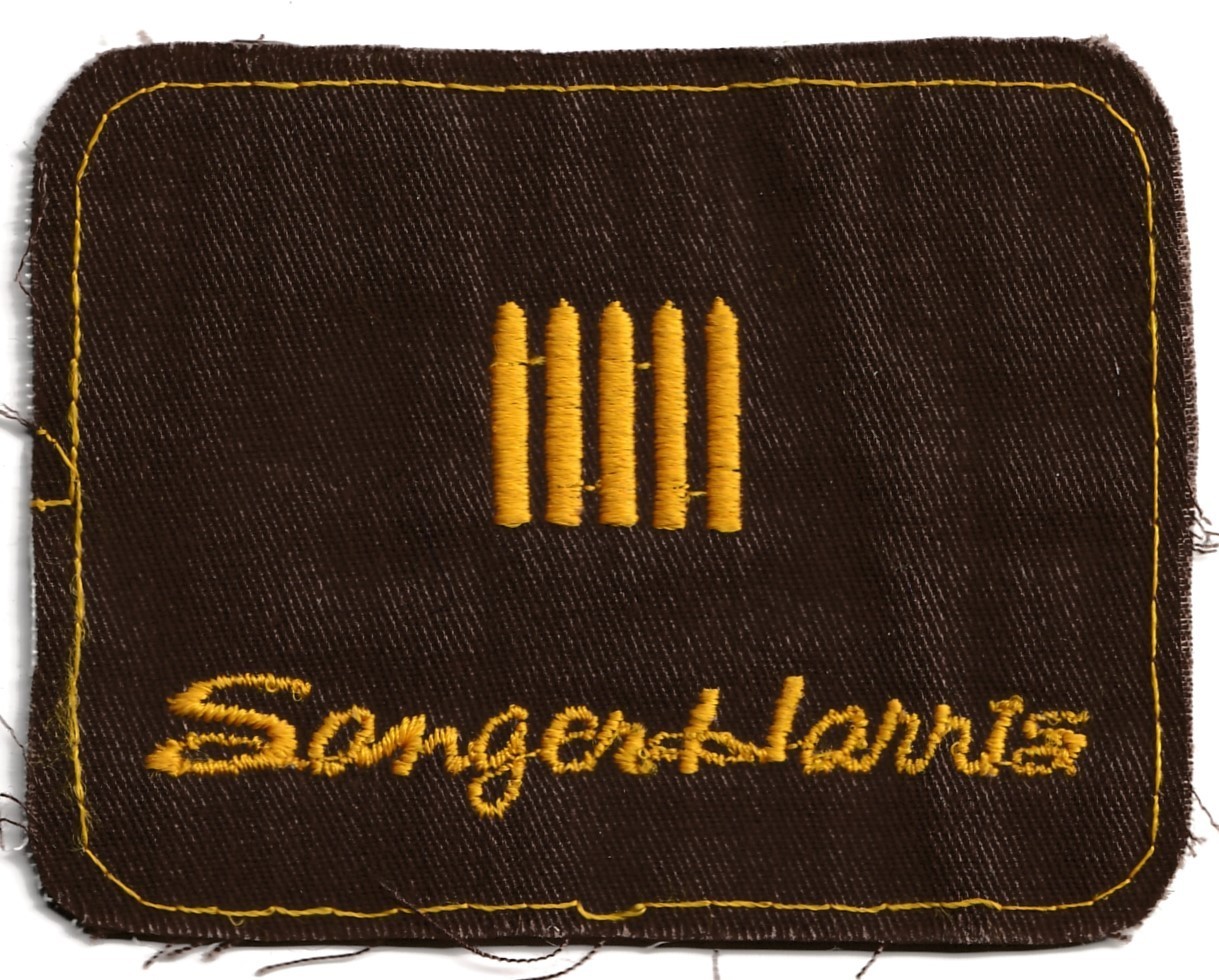 Sanger Harris Department Store Patch tac2