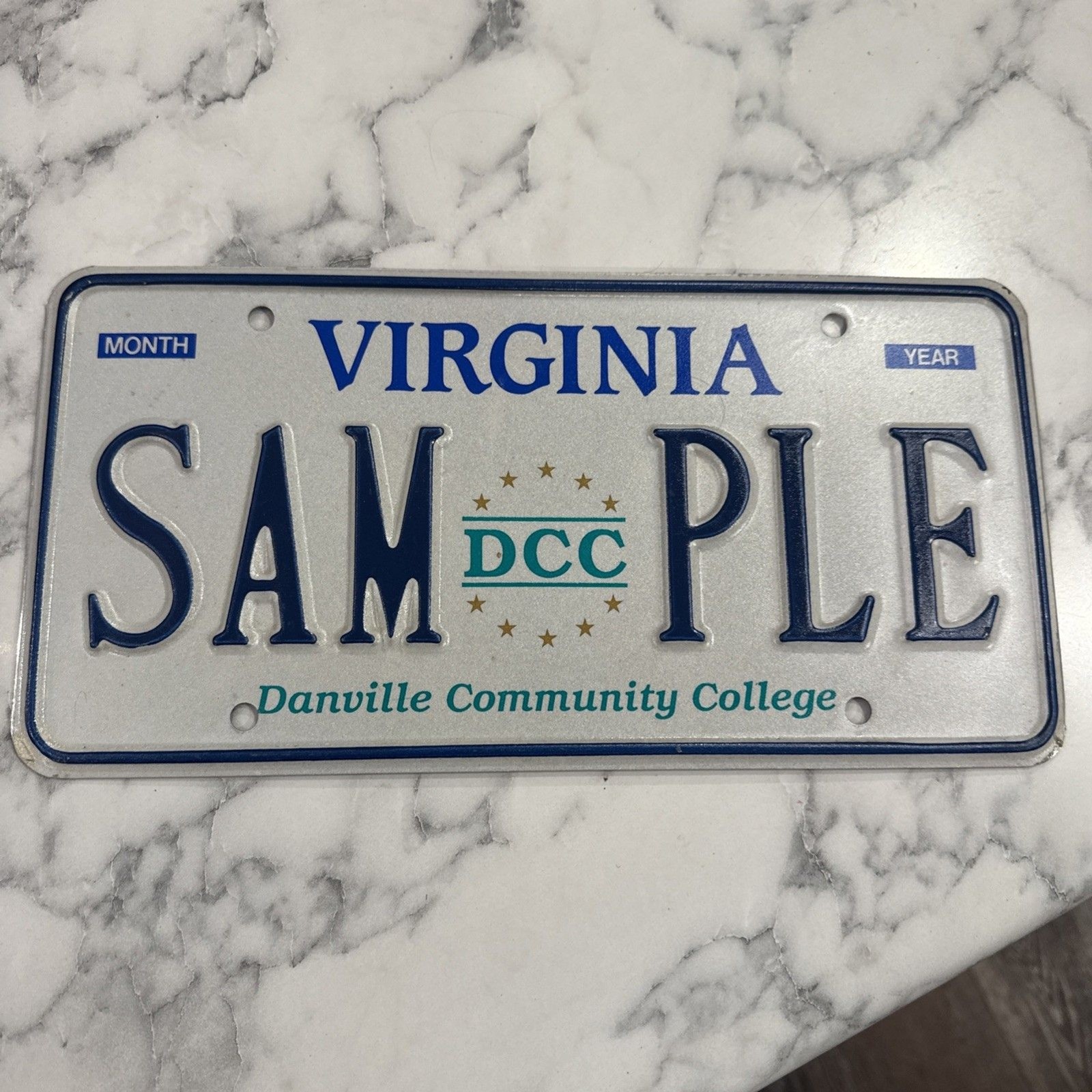 VTG 2000s Virginia Danville Community College Graphic License Plate SAMPLE