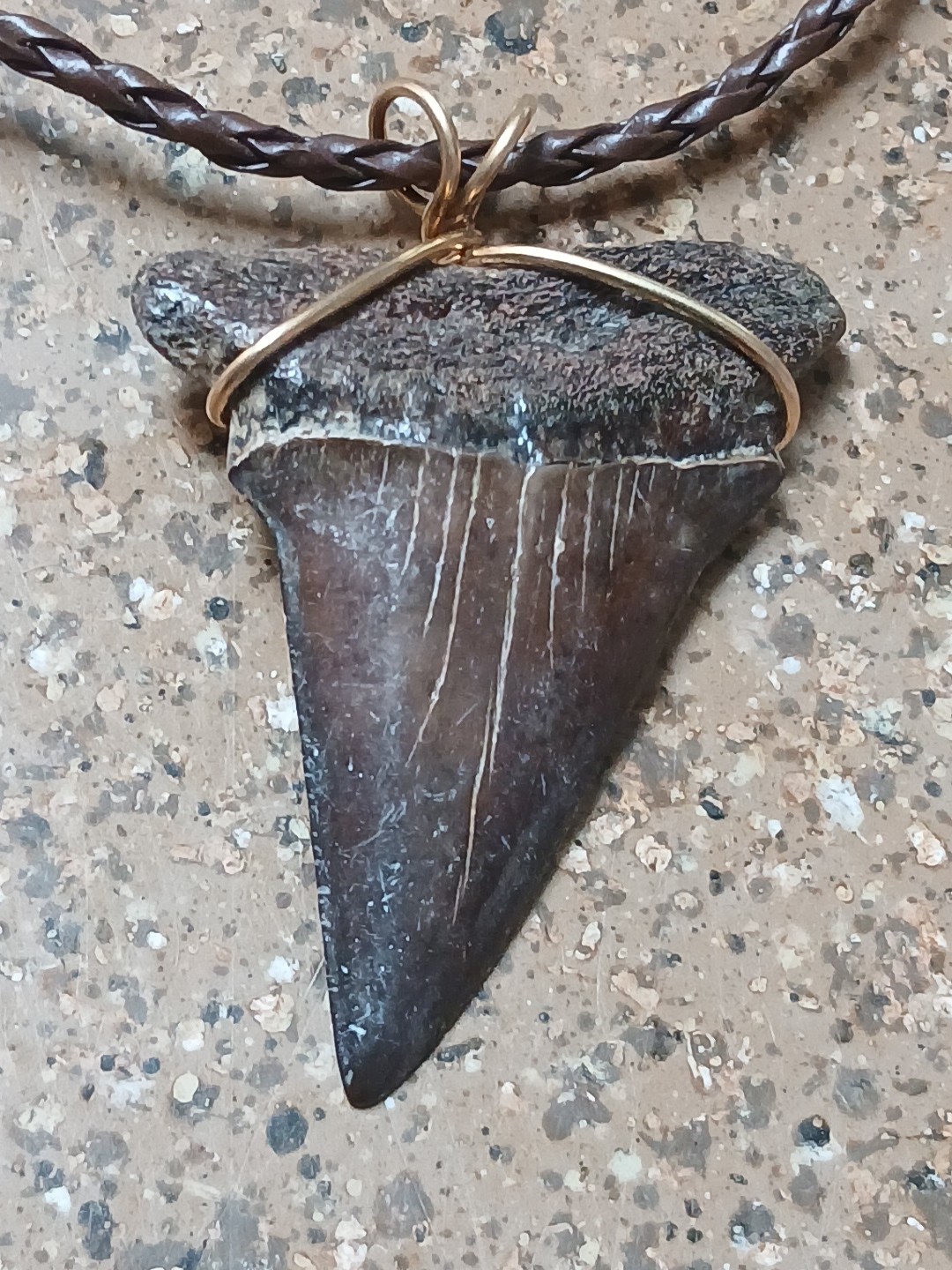 Shark Tooth Necklace Mako Wirewrap Braided Gold Filled By Jim Fowler New Shark Tooth Necklace Mako Wirewrap Braided Gold Filled By Jim Fowler New