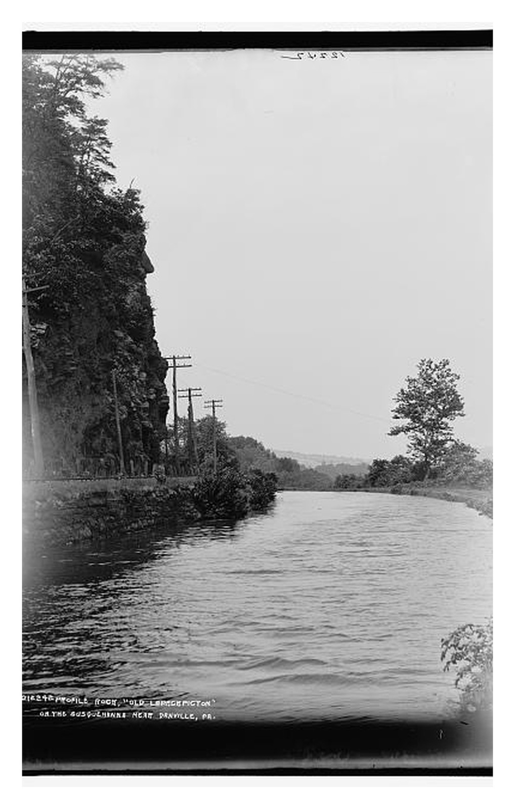 Danville Pennsylvania Profile Rock Standard Postcard