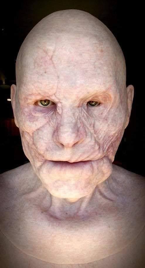 Silicone Mask | Realistic Mask | Mason Verger Mask | SPFX | Evolution Masks