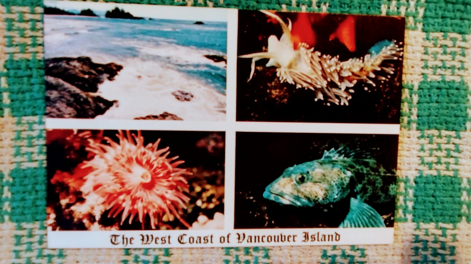 BEAUTIFUL POST CARD WEST COAST OF VANCOUVER ISLAND B.C. CANADA BEAUTIFUL POST CARD WEST COAST OF VANCOUVER ISLAND B.C. CANADA
