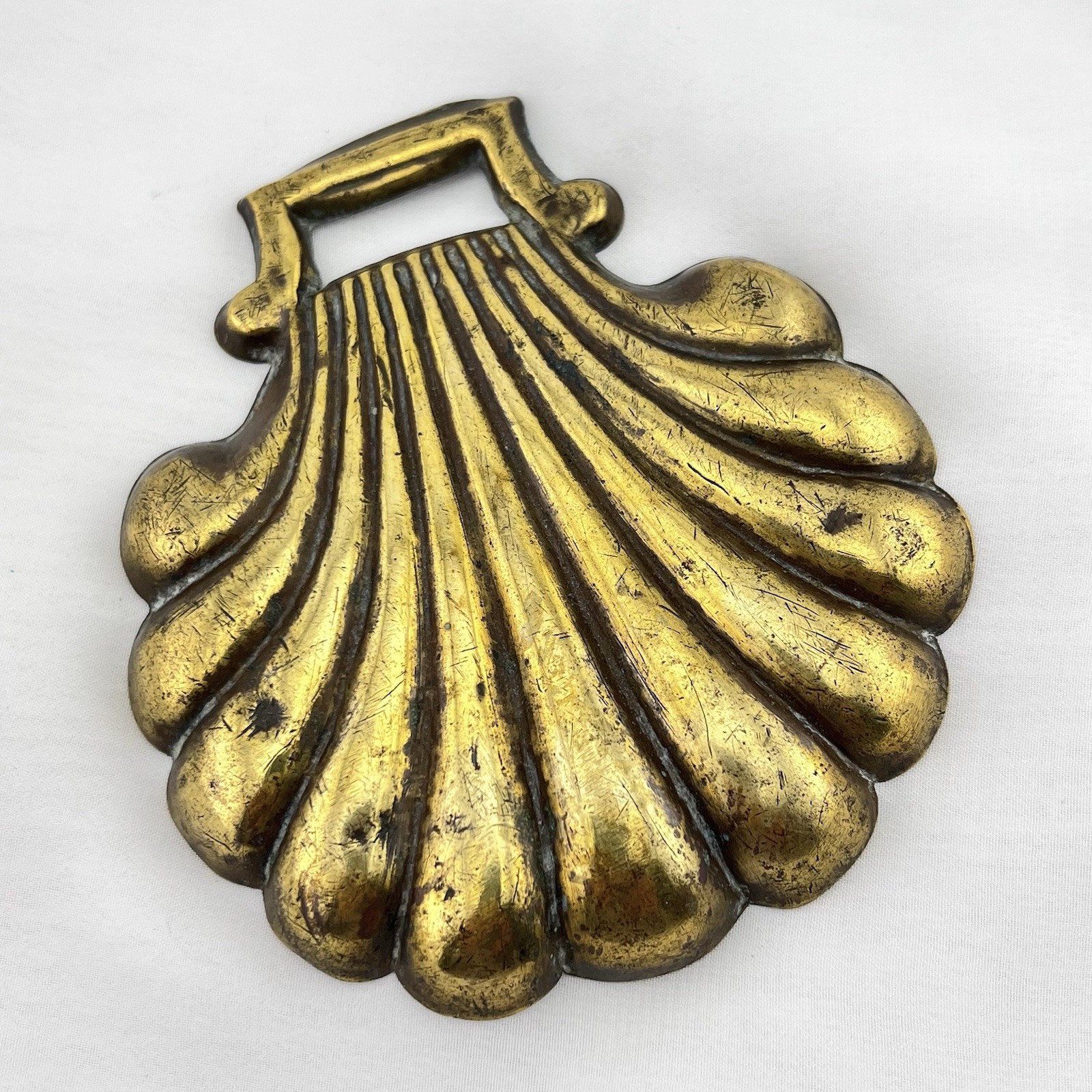 Brass Horse Medallion Antique English Seashell Ocean Stamped Show Parade Harness Brass Horse Medallion Antique English Seashell Ocean Stamped Show Parade Harness