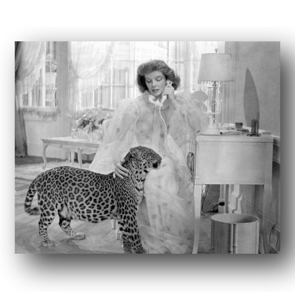 Katharine Hepburn Photo 8x10 Bringing Up Baby 1938 Film Set Howard Hawks