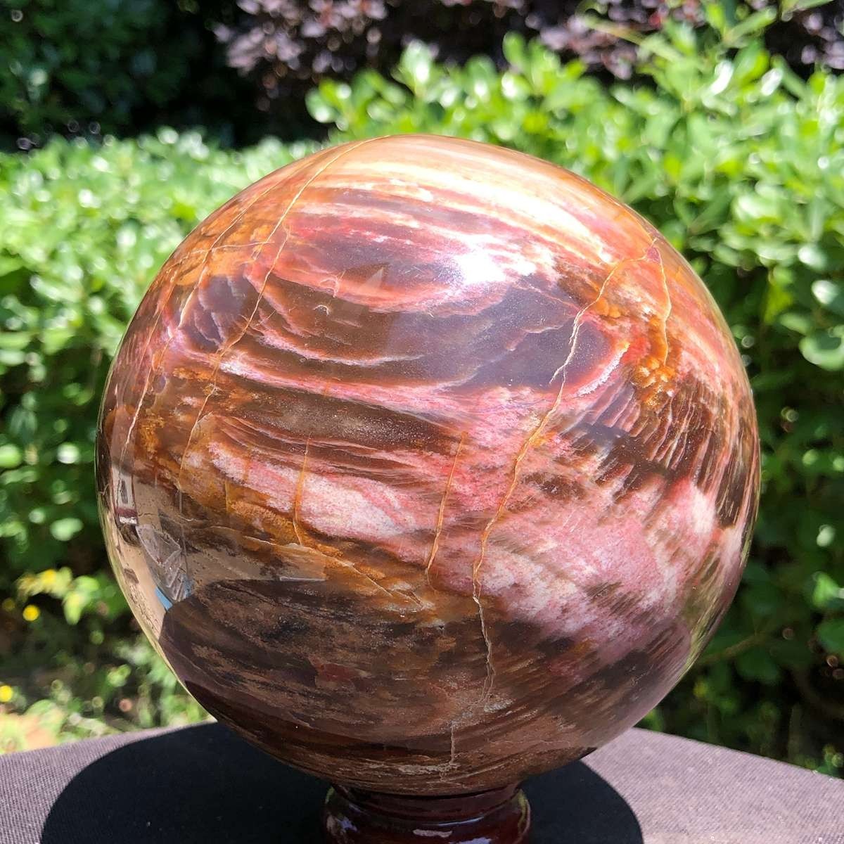 2530g Natural wood fossil ball spiritual fireworks MH5670