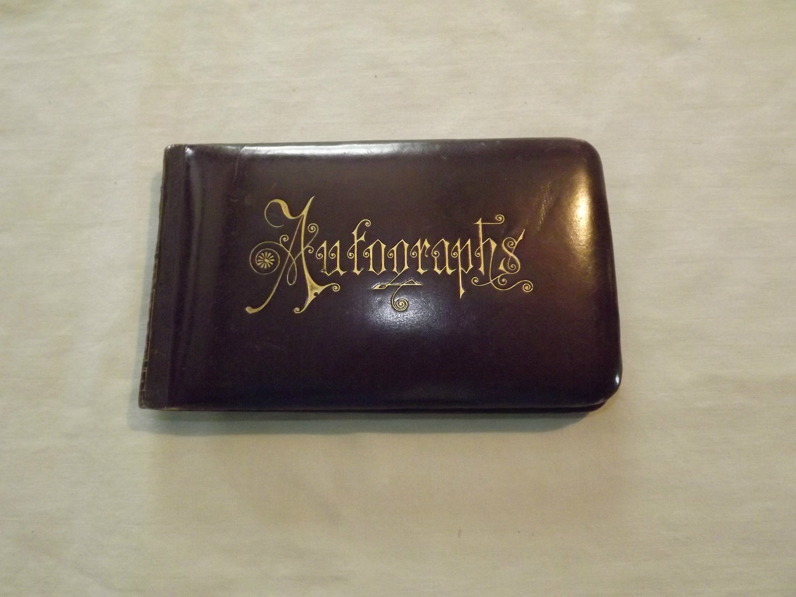 VINTAGE 1887-1892 MIDDLEBURGH FULTONHAM TROY MATTICE MIDDLEBURGH AUTOGRAPH BOOK VINTAGE 1887-1892 MIDDLEBURGH FULTONHAM TROY MATTICE MIDDLEBURGH AUTOGRAPH BOOK