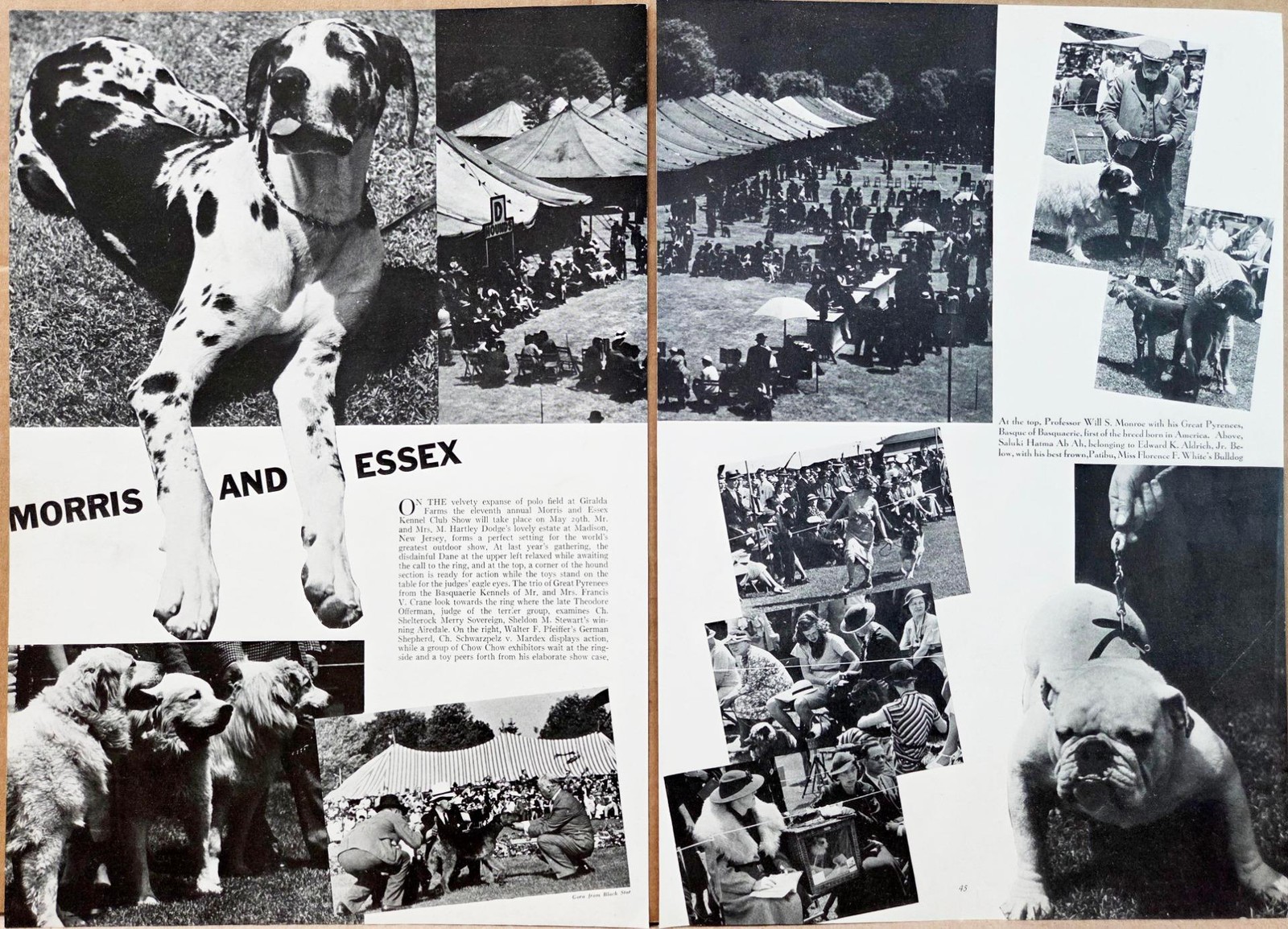 1937 Morris & Essex Dog Show Giralda Farms Great Pyrenees Madison NJ Photo Pges