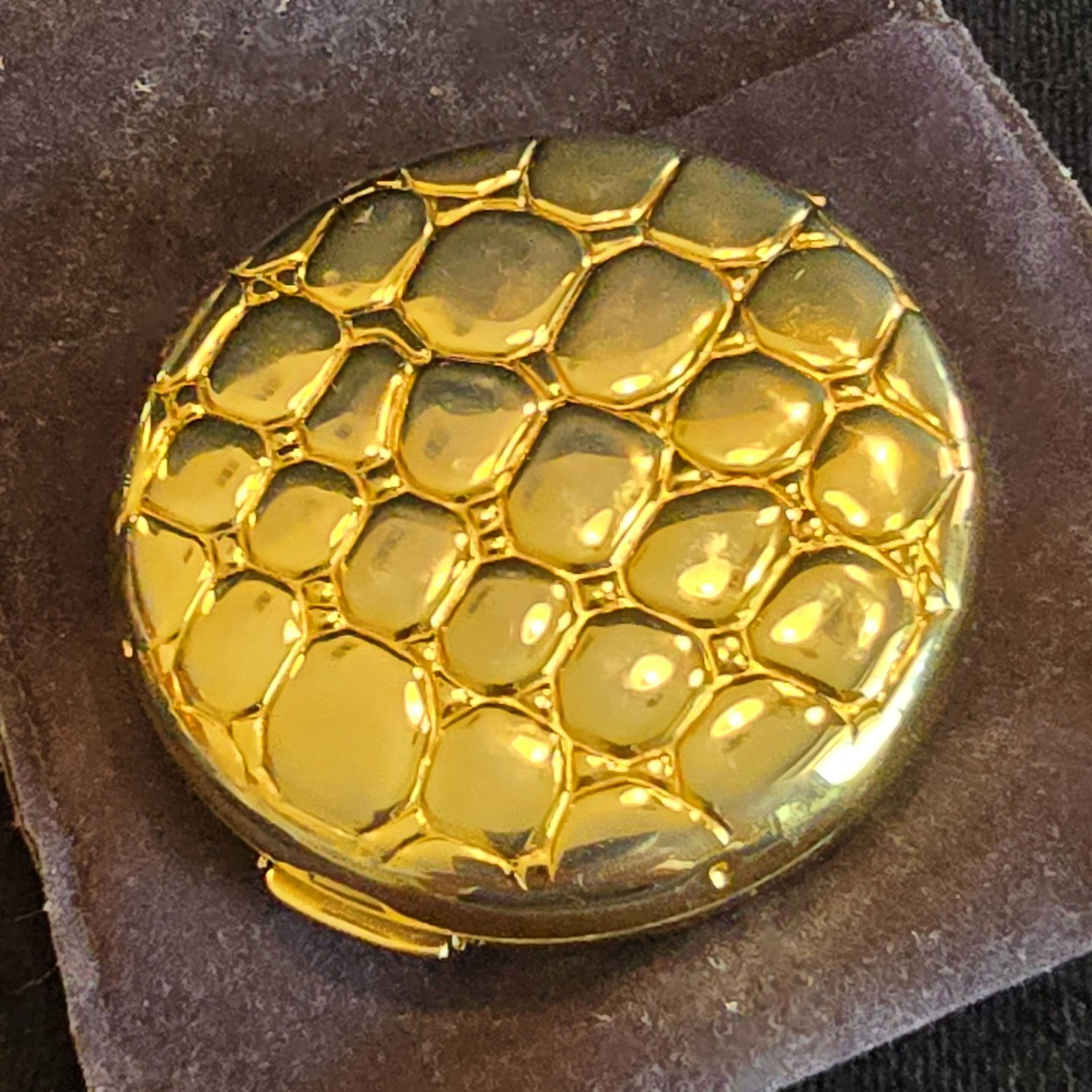 Estée Lauder Lucidity Golden Gator Compact Pressed Powder Transparent 0.60 oz