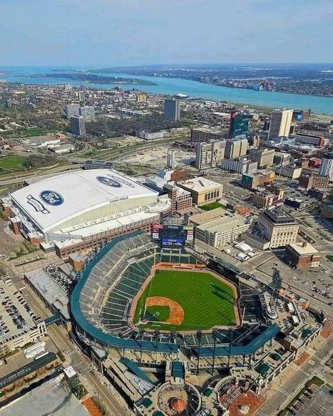 DETROIT TIGERS & LIONS Comerica Park & Ford Field 8x10 Photo Print Reprint