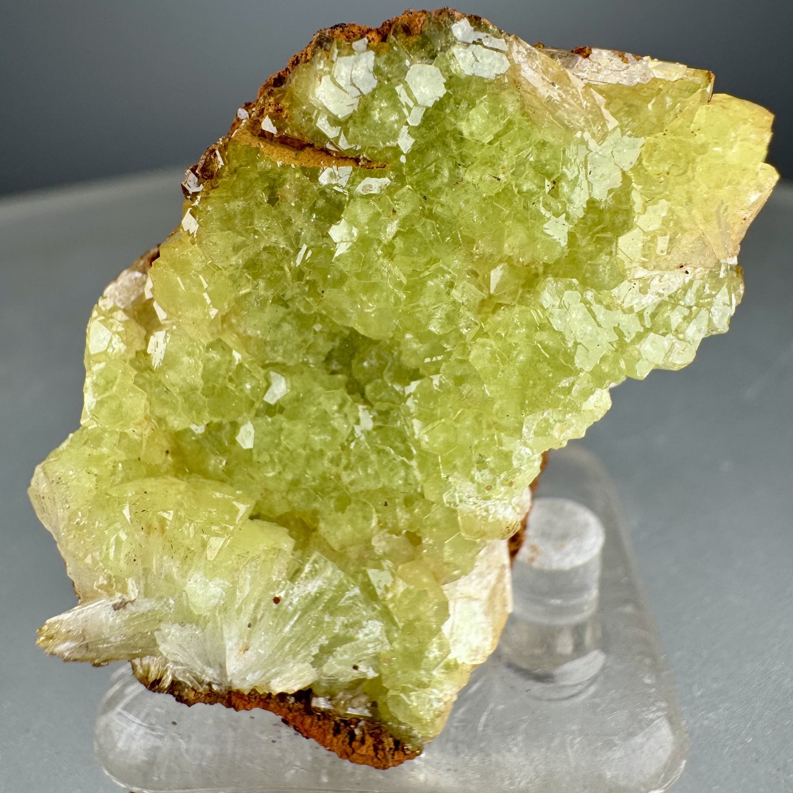 Nice Lustrous Green Adamite Crystals : Ojuela Mine, Mapimi, Durango, Mexico