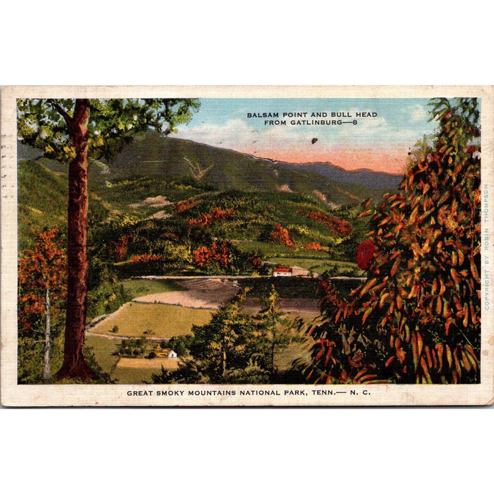 Great Smoky Mountains National Park 1938 Mary O Moore Vintage Postcard SP8-25