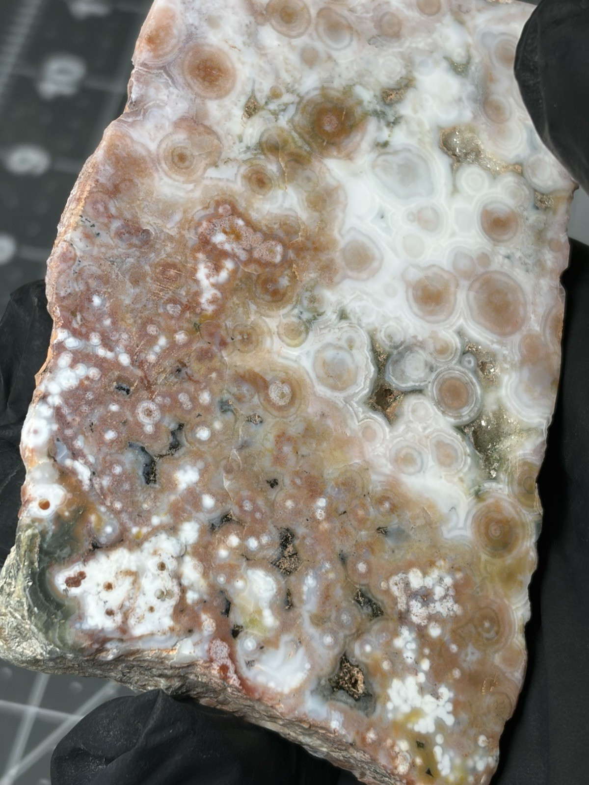 Beautiful Ocean Jasper Old Stock Pink Orbs Marovato Face Polished Stands