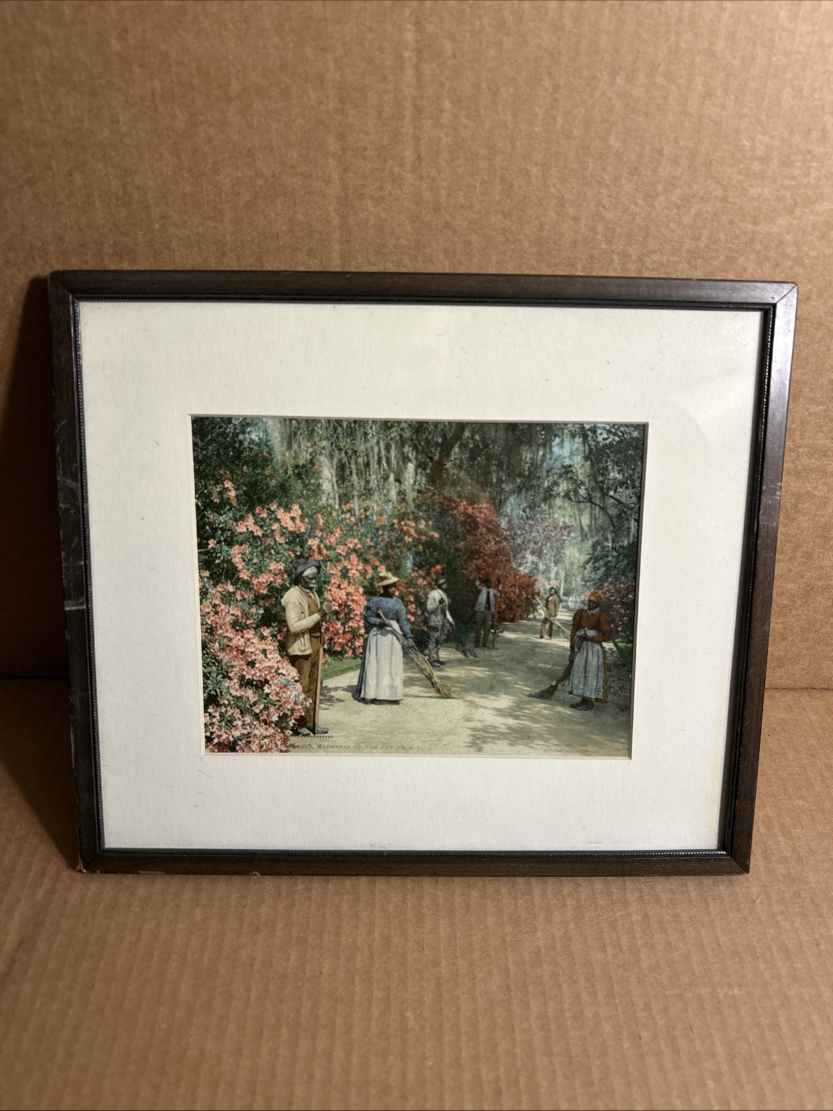 Detroit Publishing Co. Photocrom 1908 The Caretakers, Magnolia On The Ashley SC