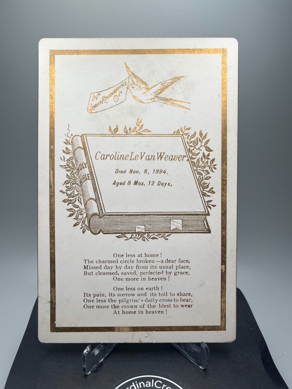 1894 Antique Funeral Memorial Cabinet Card - 8 Month Old Baby White Gold