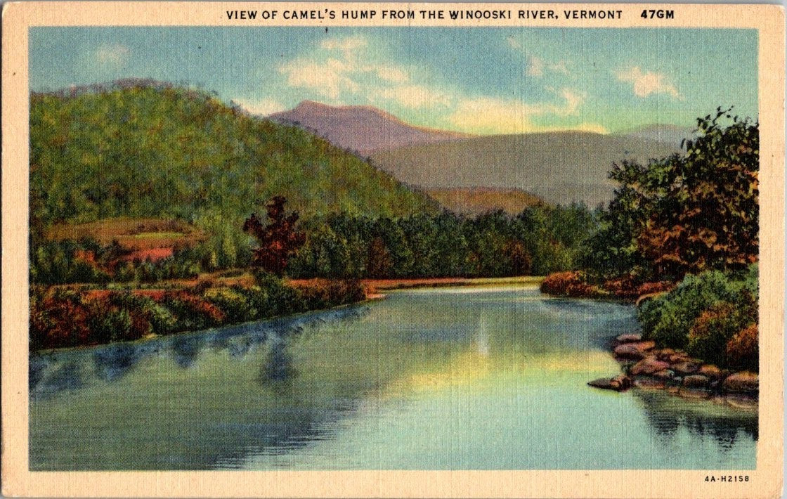 Vintage Postcard 1992 View of Camel\'s Hump, Winooski River, Vermont (VT)