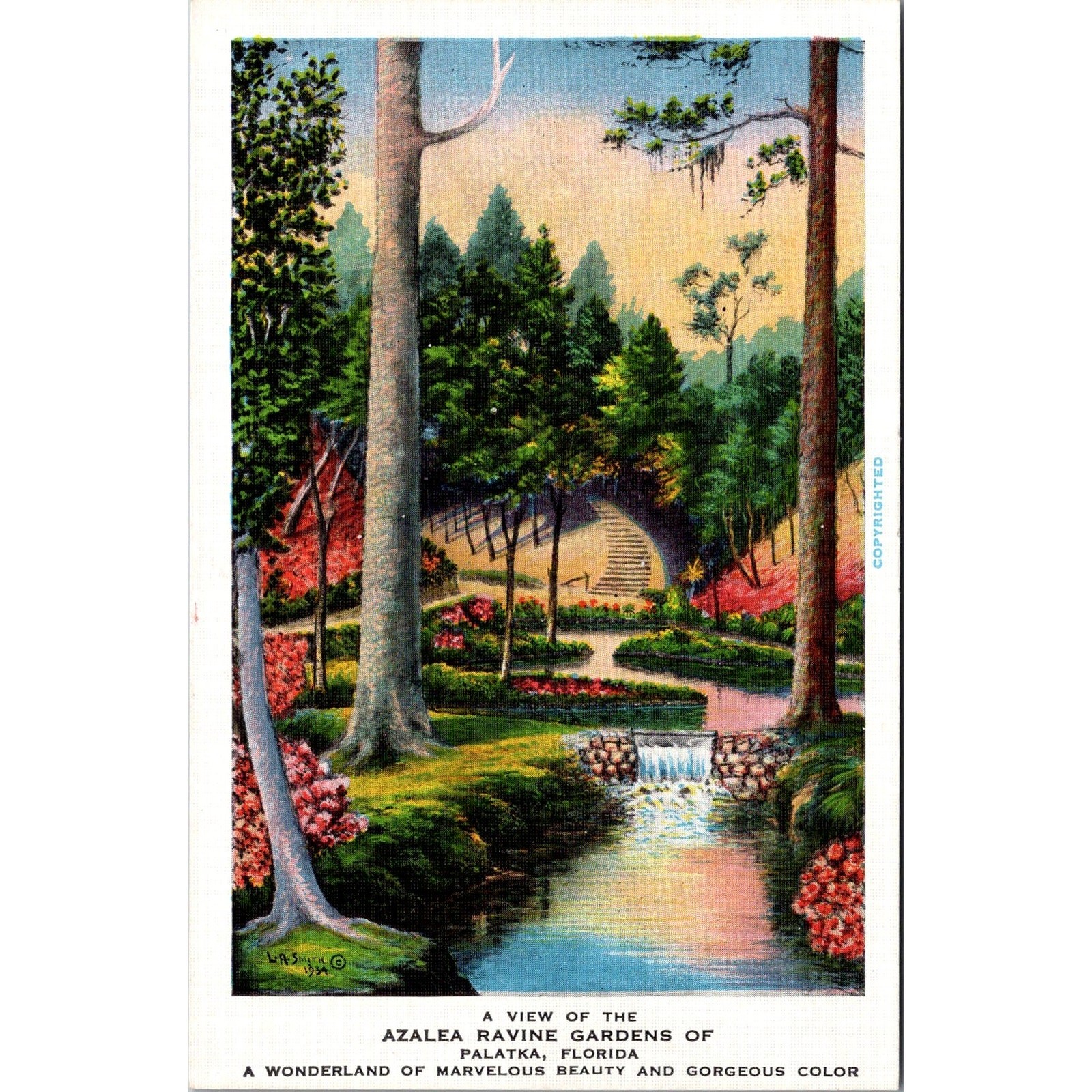 A View of the Azalea Ravine Garden of Palatka FL Vintage Postcard SPJ1