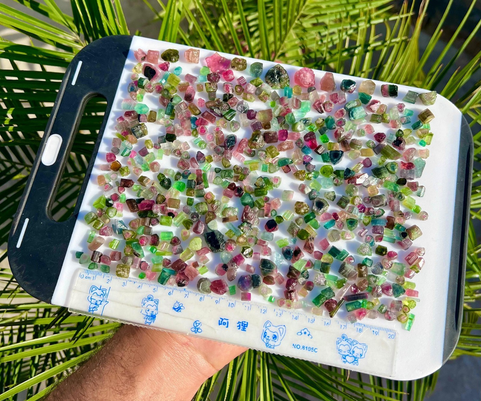 100 Grams Multi Coloured Tourmaline Crystals Lot Having Nice Colour & Growth Afg