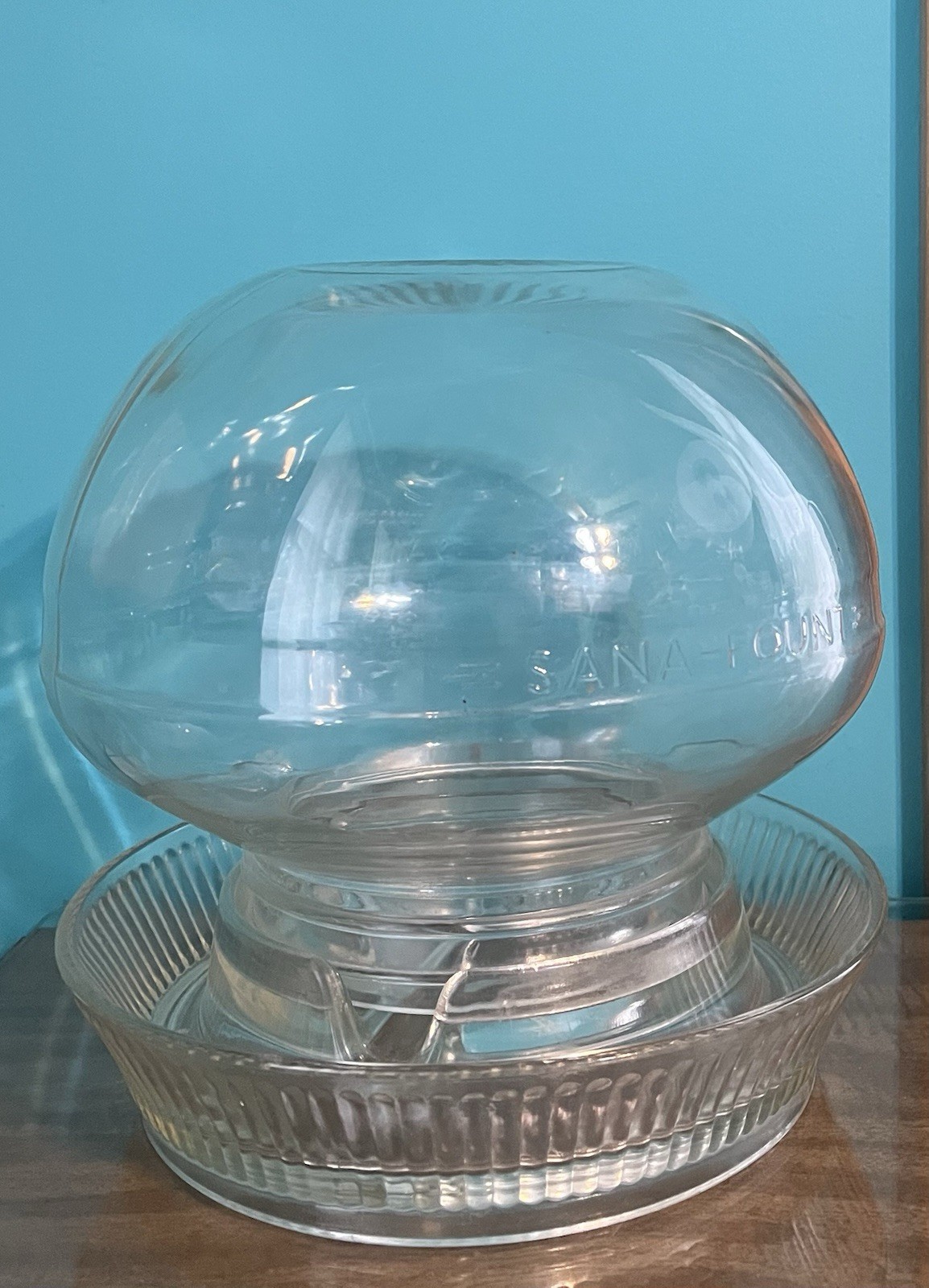 Vntg Clear Glass Sana-Fount Poultry Waterer/Feeder with Anderson Base, A-3 Vntg Clear Glass Sana-Fount Poultry Waterer/Feeder with Anderson Base, A-3