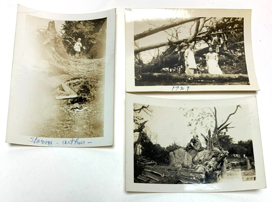 April 1929 Antique SMALL REAL PHOTOGRAPHS - STORM AFTERMATH Damaged Fallen Trees