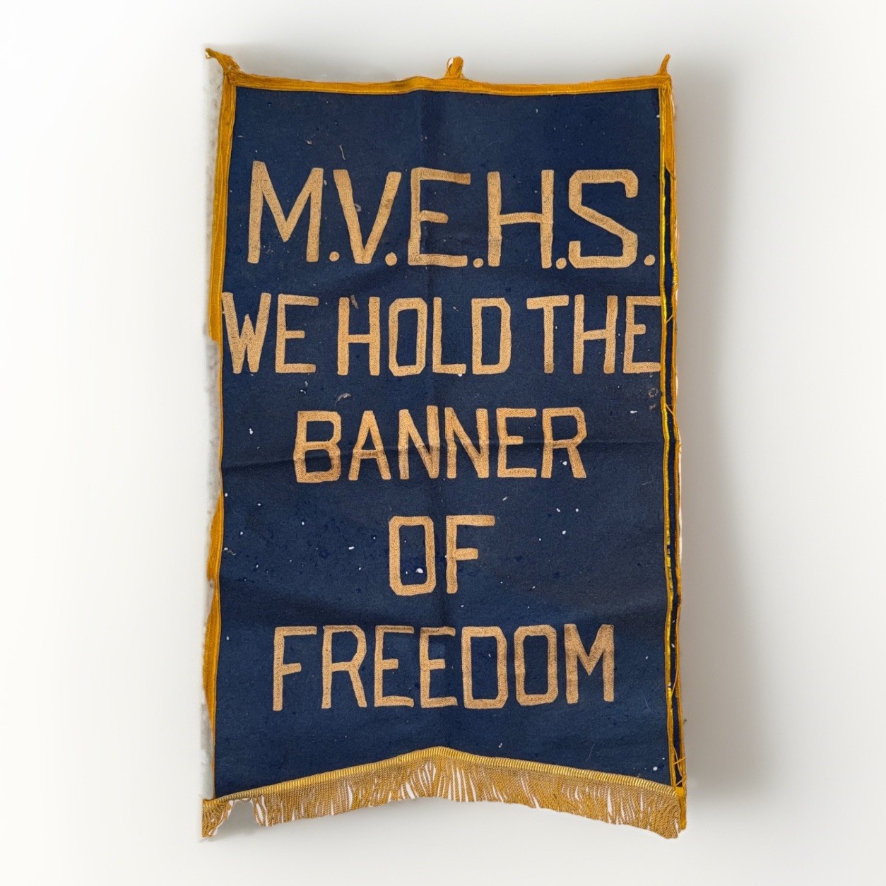 ANTQ Fraternal Lodge Banner Fuller Regalia Worcester MA Gold Fringe c.1900