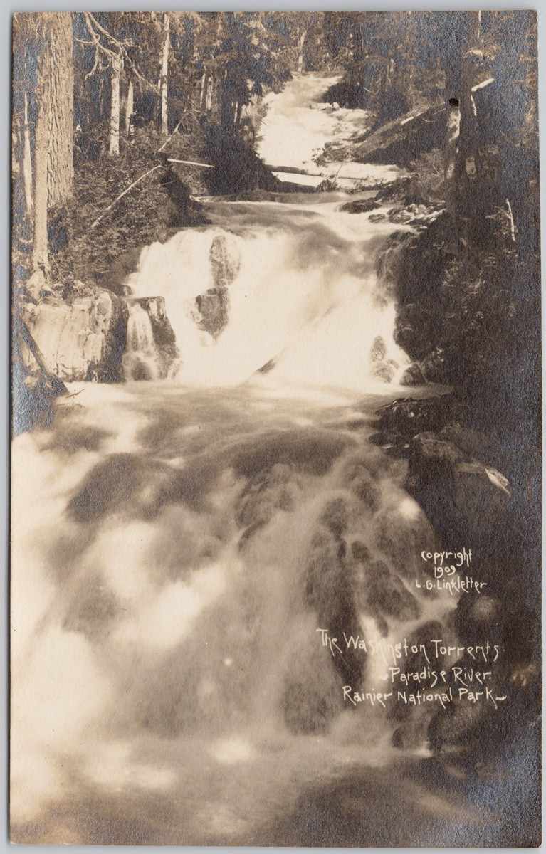 Washington Torrents Paradise River WA Rainier Park LG Linkletter RP Postcard H75