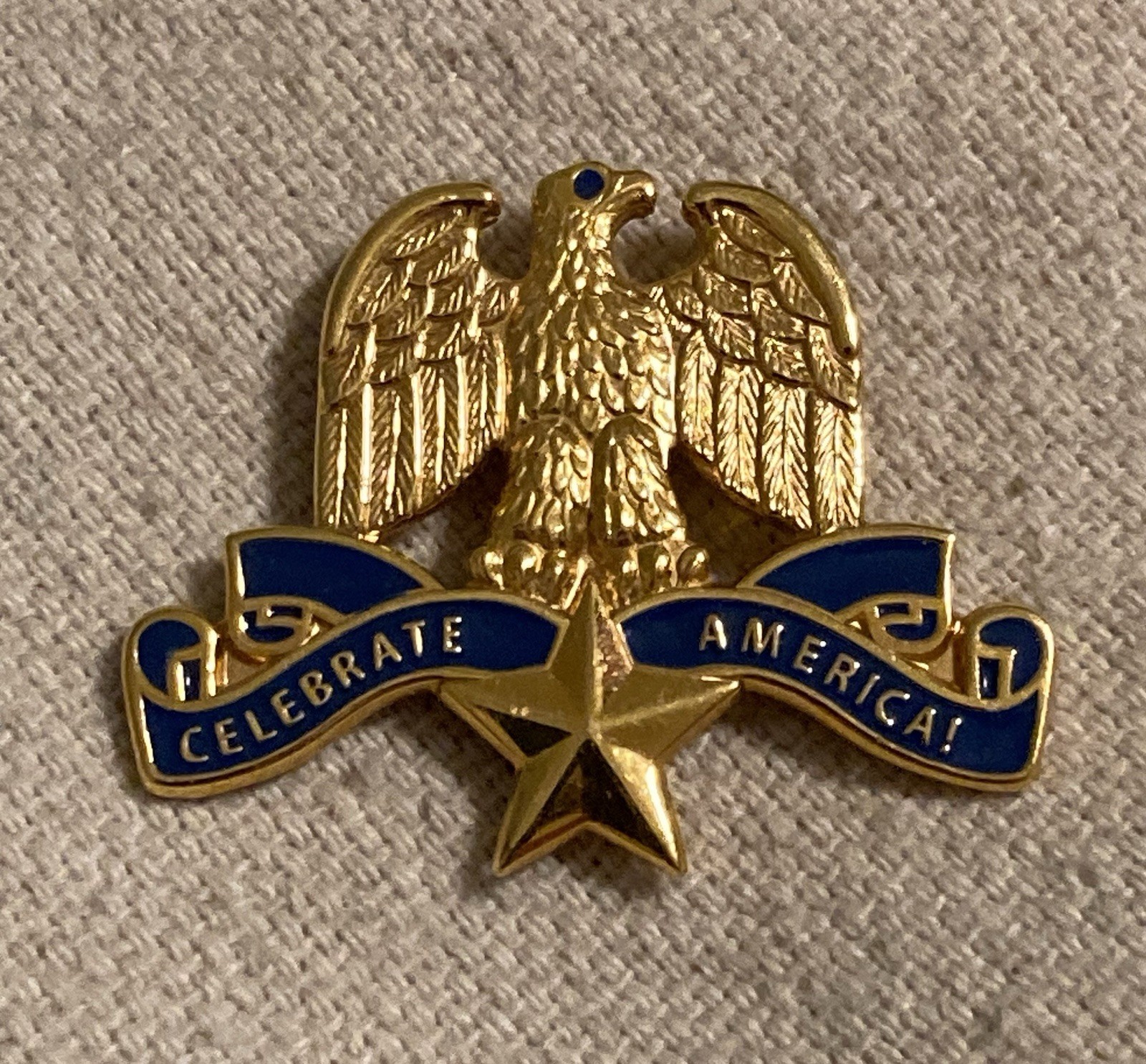 DAR Daughters of the American Revolution Celebrate America Pin Badge Insignia