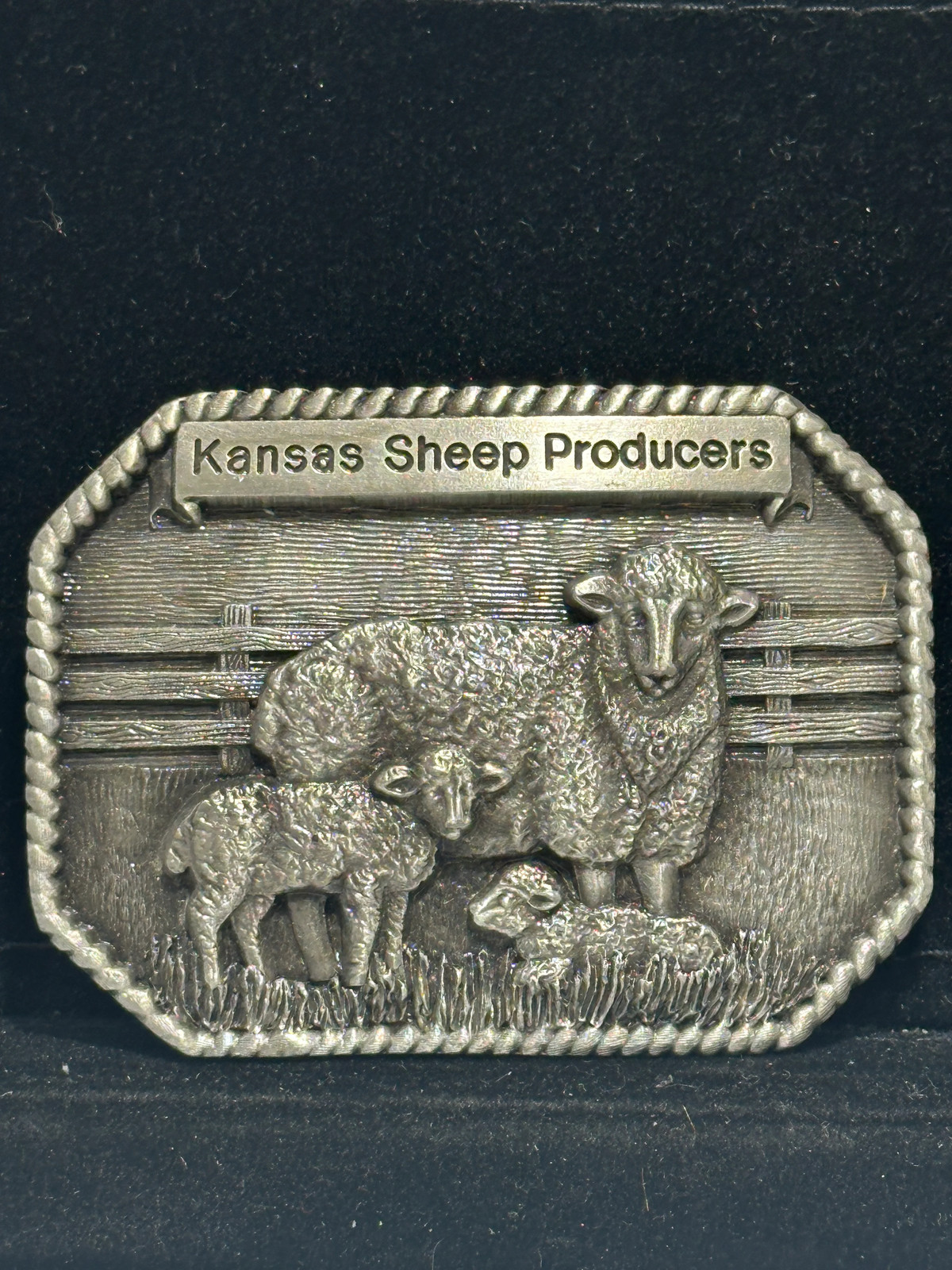 Vintage 1986 Kansas Sheep Producers Ram Lamb Limited Edition 200 Belt Buckle Vintage 1986 Kansas Sheep Producers Ram Lamb Limited Edition 200 Belt Buckle