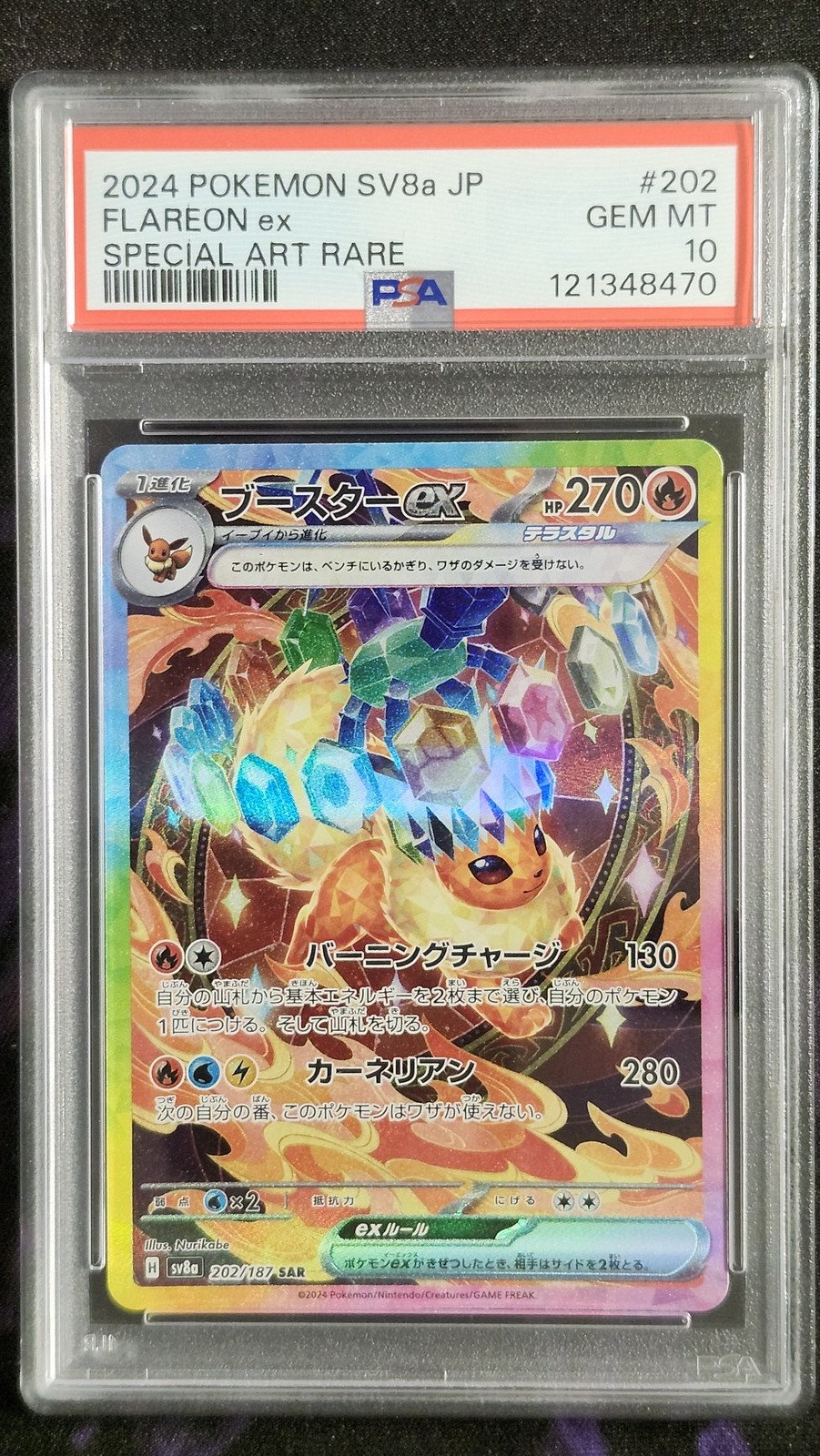 Pokemon PSA 10 Flareon EX 202 Terastal Festival Japanese Pokemon PSA 10 Flareon EX 202 Terastal Festival Japanese