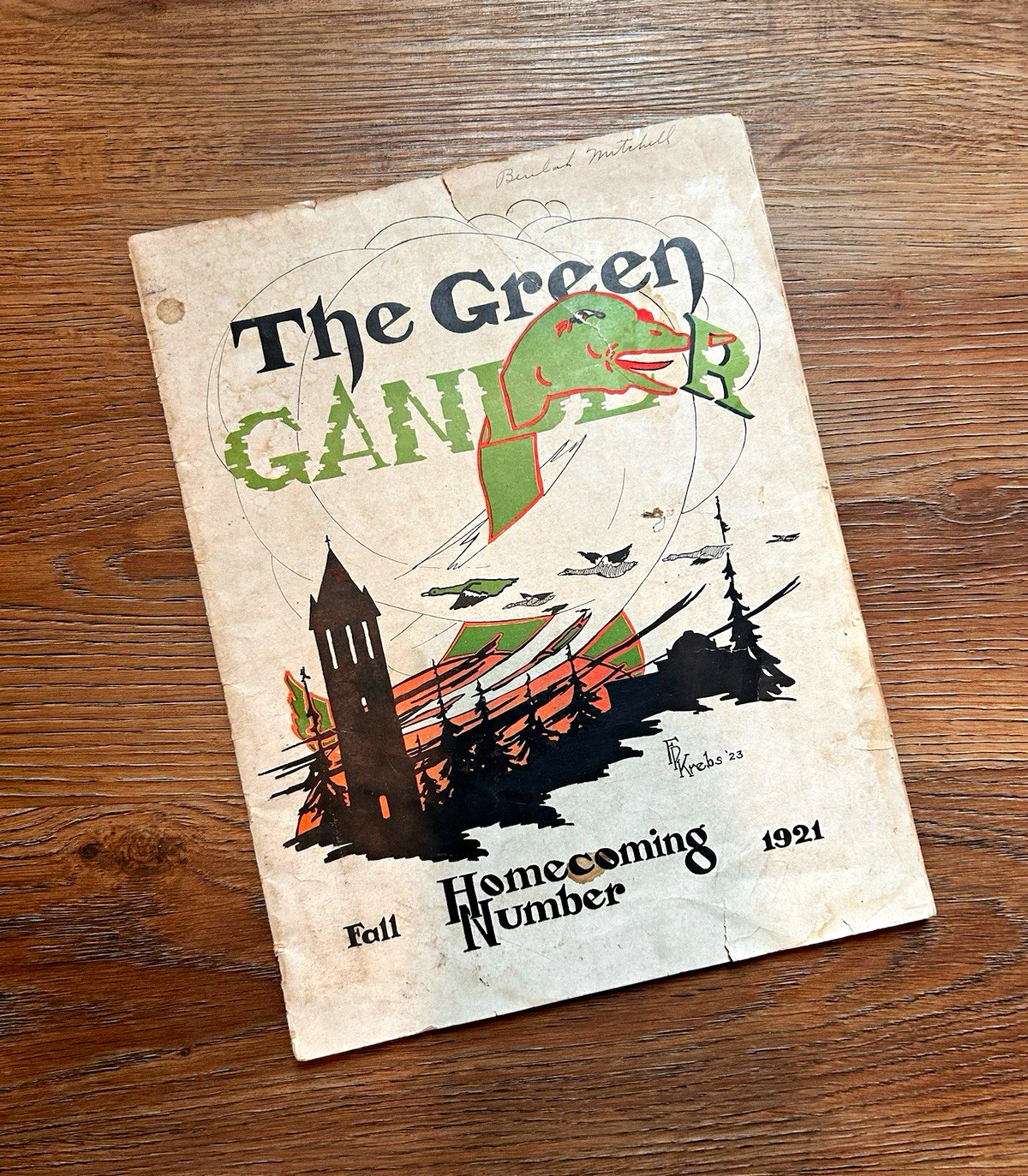 Vintage, The Green Gander 1921 Fall Homecoming College Program Booklet