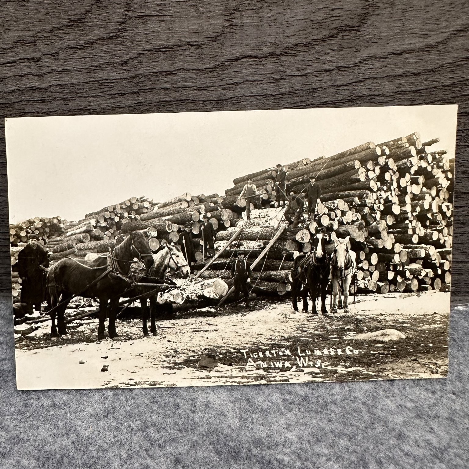 RPPC Tigerton Lumber Co. Aniwa WI Logging Log Pile Horses Lumberjacks Postcard RPPC Tigerton Lumber Co. Aniwa WI Logging Log Pile Horses Lumberjacks Postcard
