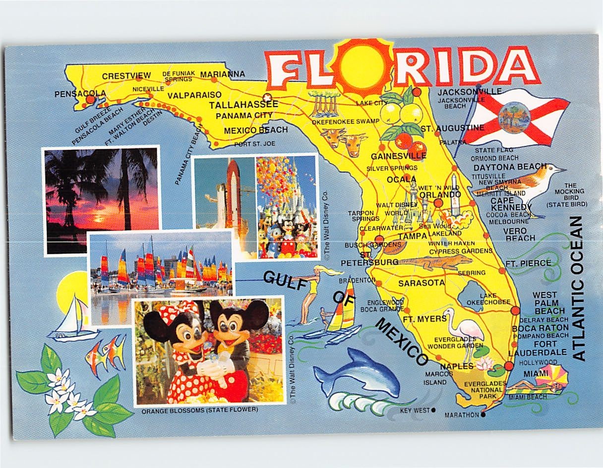 Map & Attractions Florida USA F-367987