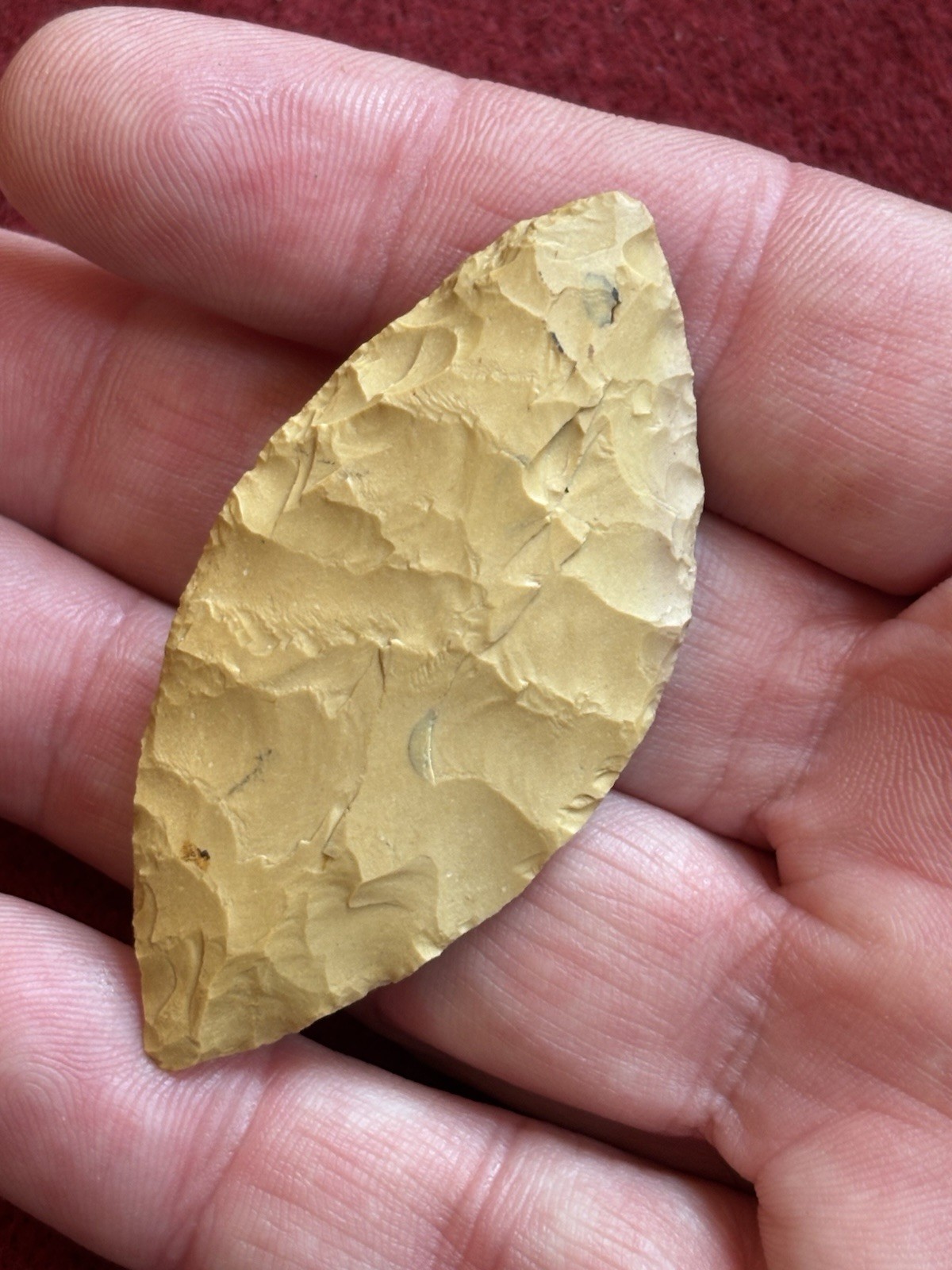 RARE Western Mahaffey Trans Paleo 2 3/8 RARE Western Mahaffey Trans Paleo 2 3/8