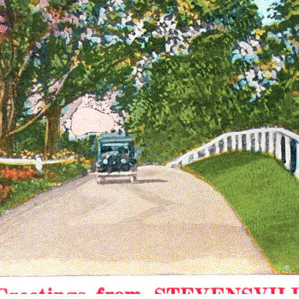 Vintage Postcard 1930 Stevensville Pennsylvania Vintage Auto Landscape Trees-A2