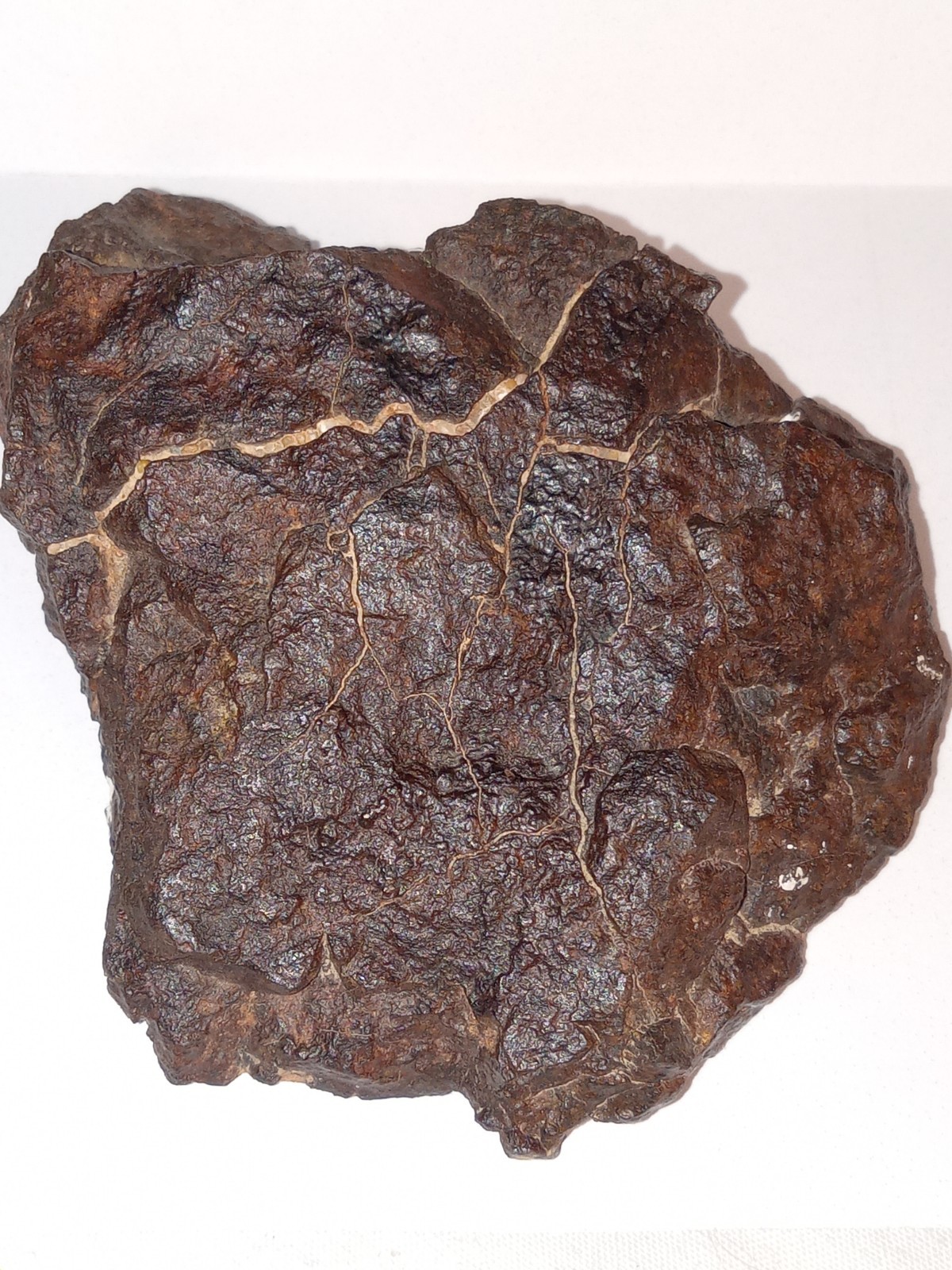 NWA Stony Meteorite 133 Gr. End Slice Unclassified From Private Collection NWA Stony Meteorite 133 Gr. End Slice Unclassified From Private Collection