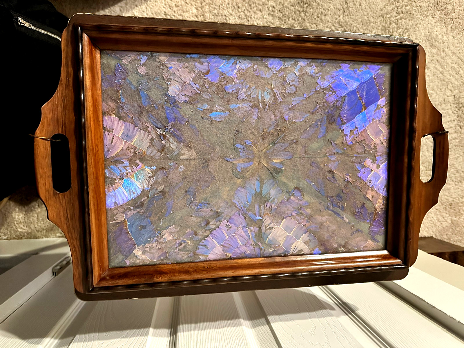 Vintage Blue Real Butterfly Wing - Iridescent Morpho Brazilian Large Tray