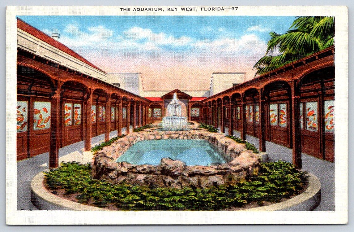 Vintage Florida Postcard KEY WEST Open Air Aquarium 1940s Vintage Florida Postcard KEY WEST Open Air Aquarium 1940s