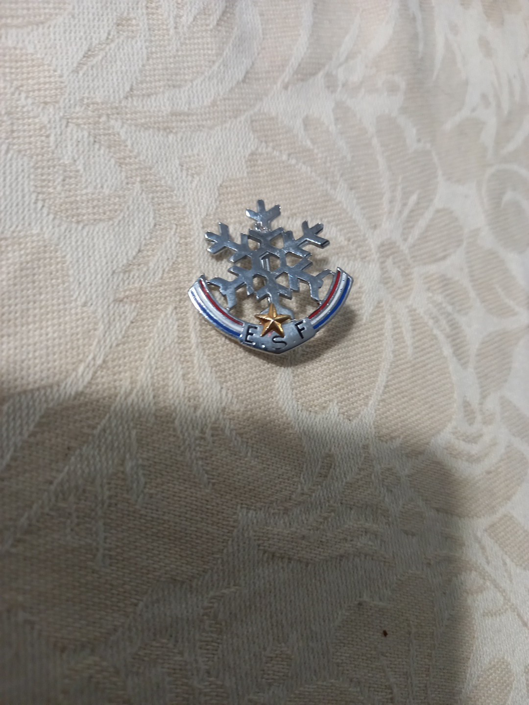 REWARD BROOCH BADGE \