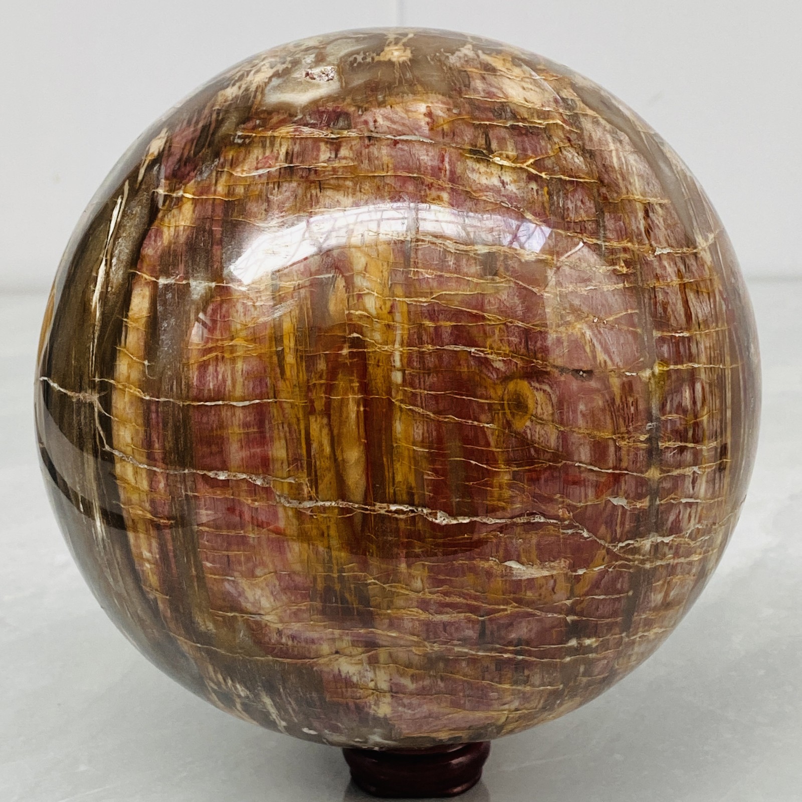 Natural Petrified Wood Polished Stone Quartz Crystal Sphere Ball Healing 5280G