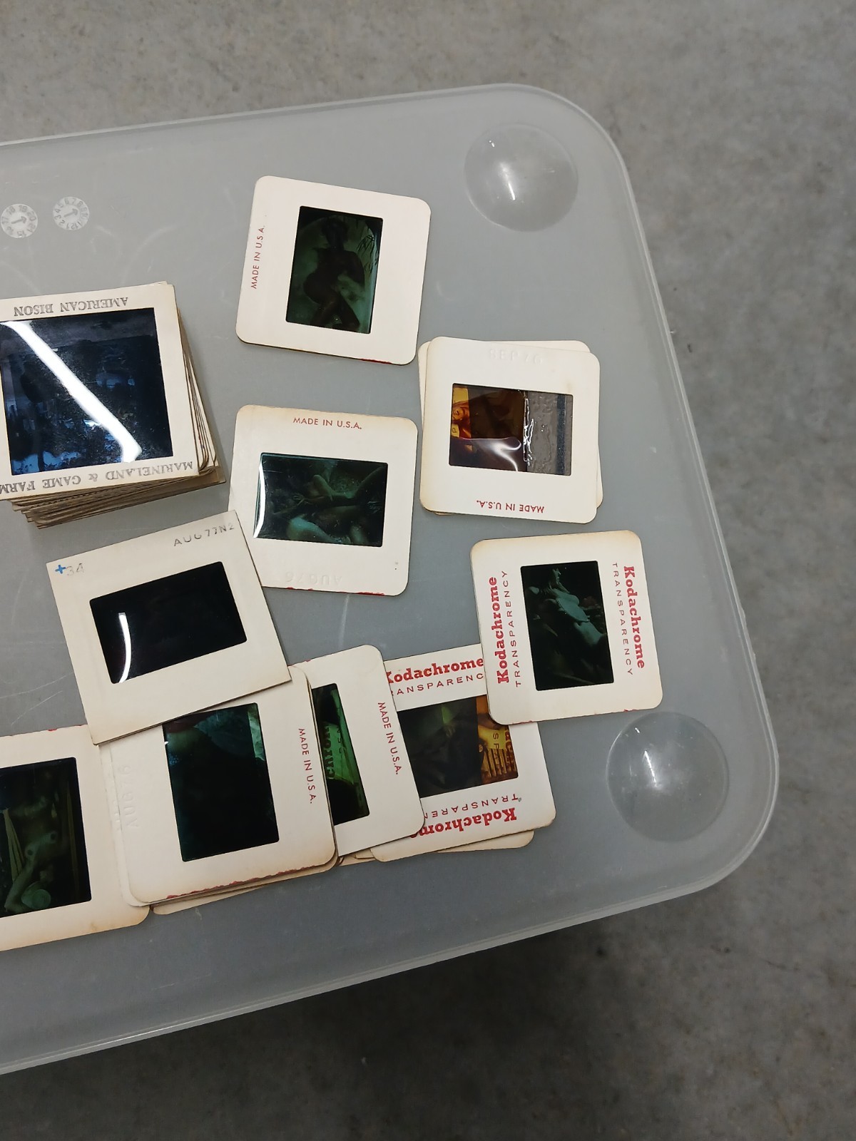 vintage kodachrome 35mm slides 80+ Nature City Risqué Models Etc