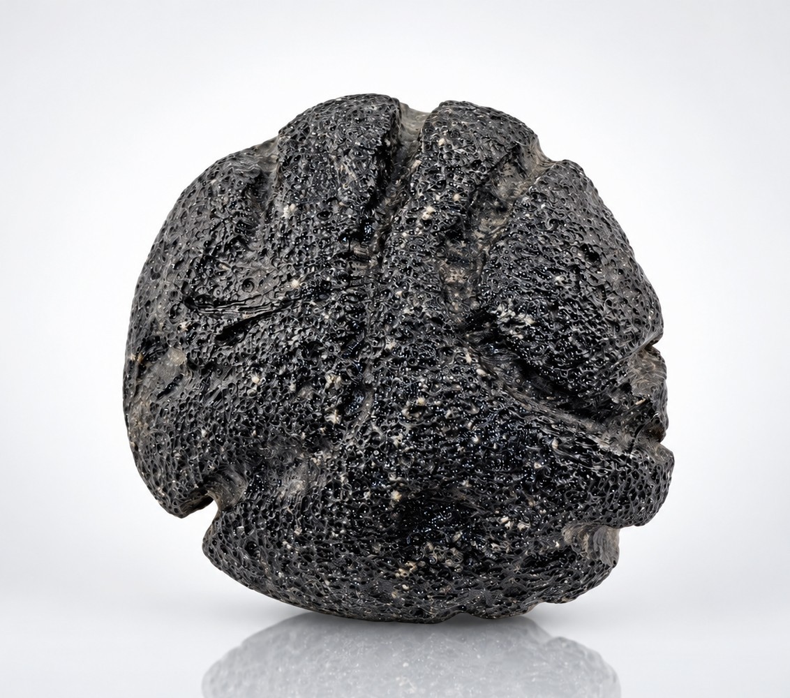 Bicolite Tektite – 40.2 grams Philippinite, Meteorite Impact, Bikolite, Rizalite
