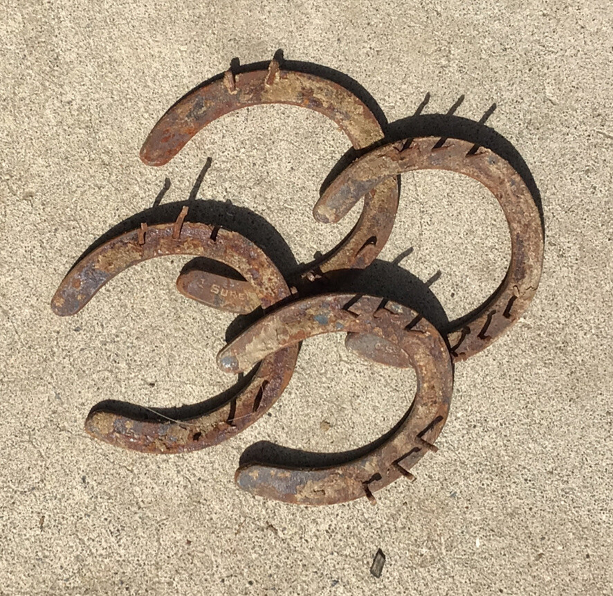 Lot of 4 Real Rusty Rustic Metal Iron Used Horse Shoe Good Luck Charm Horseshoe