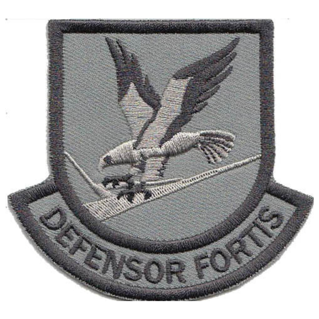 Large Custom Security Forces Defensor Fortis Grey Multicam Patch
