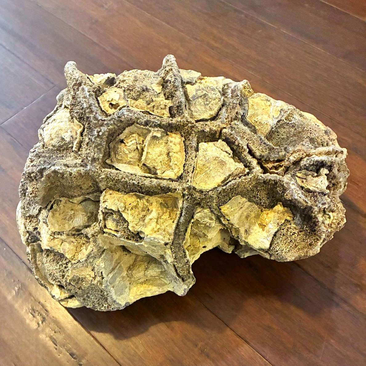 Large Natural Mineral Rock Specimen Matrix Display ~12 in Approx. 22 lb