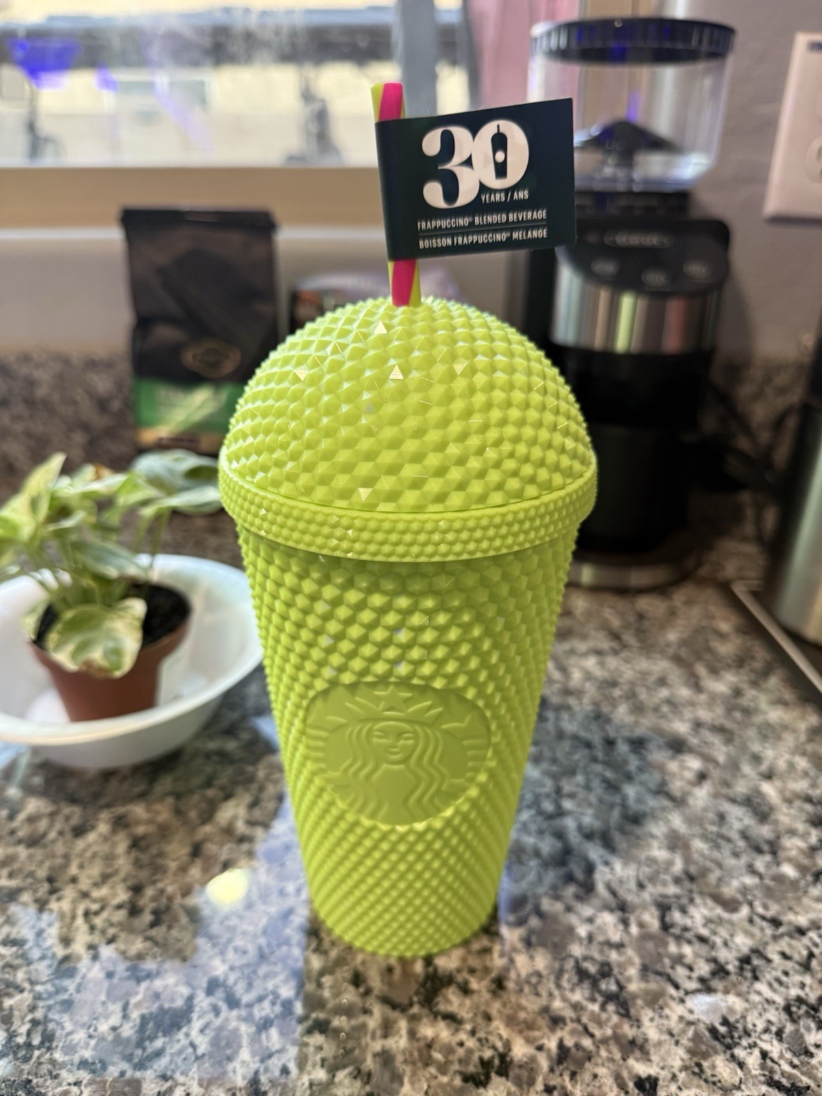 Starbucks Frappuccino 30-Year Anniversary Domed Cup Straw 16oz Lime Green